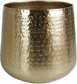 Merkloos Bloempot Karakter Goud - L