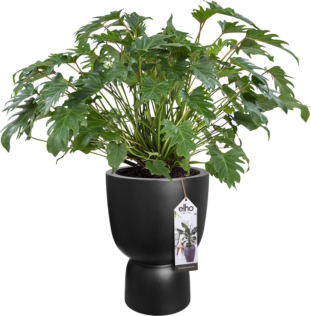 Elho Pure Coupe 41 - Bloempot Voor Binnen & Buiten - Ø 41.3 X H 57.9 Cm - Zwart/Zwart - Image 12