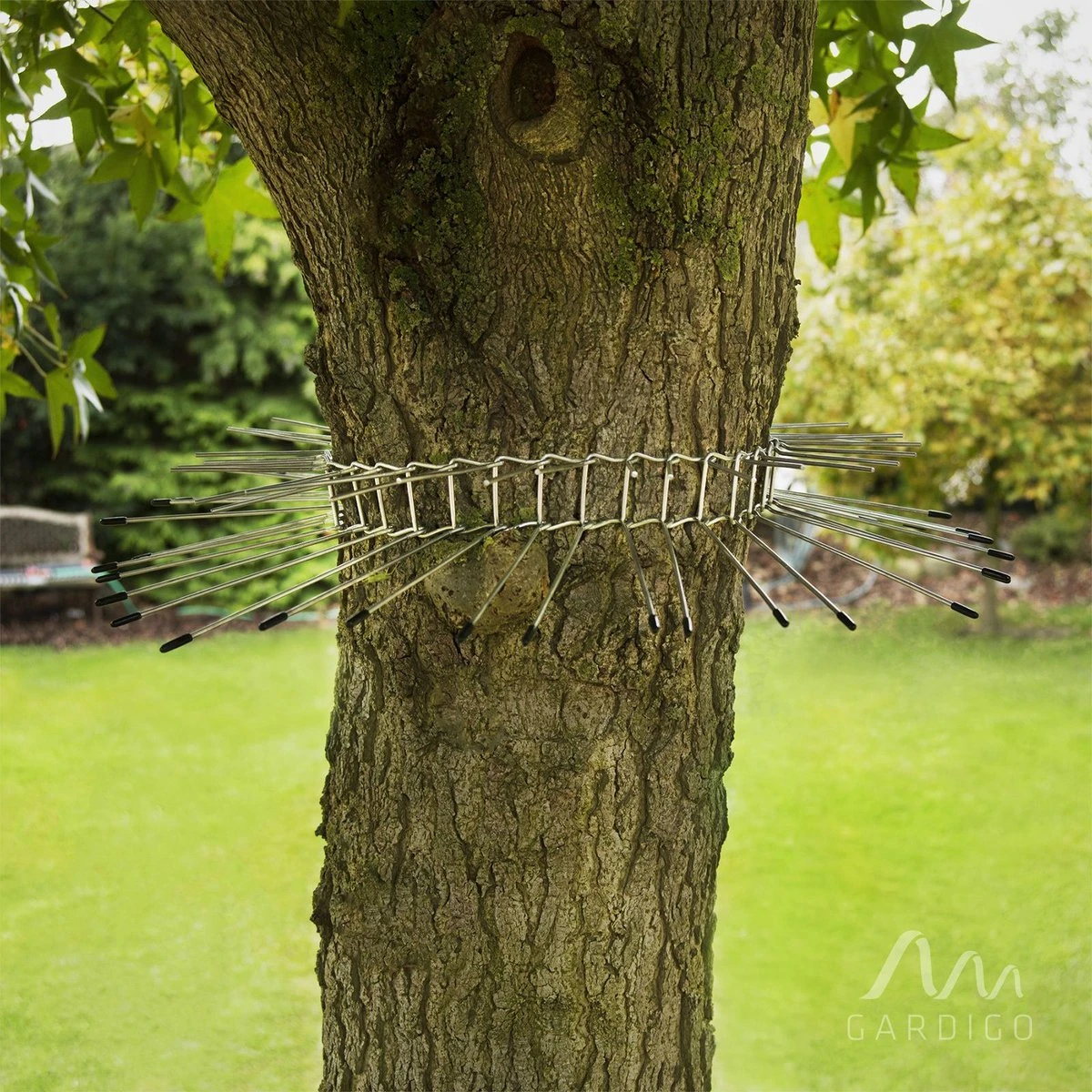 Gardigo Kattenafweergordel - Image 6