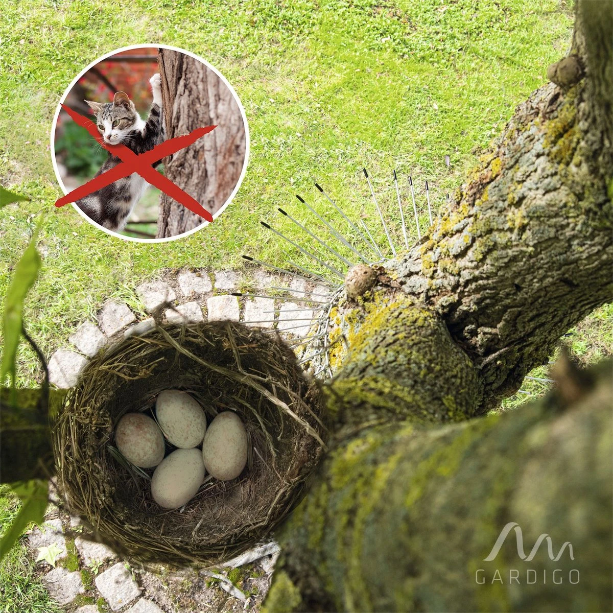 Gardigo Kattenafweergordel - Image 7