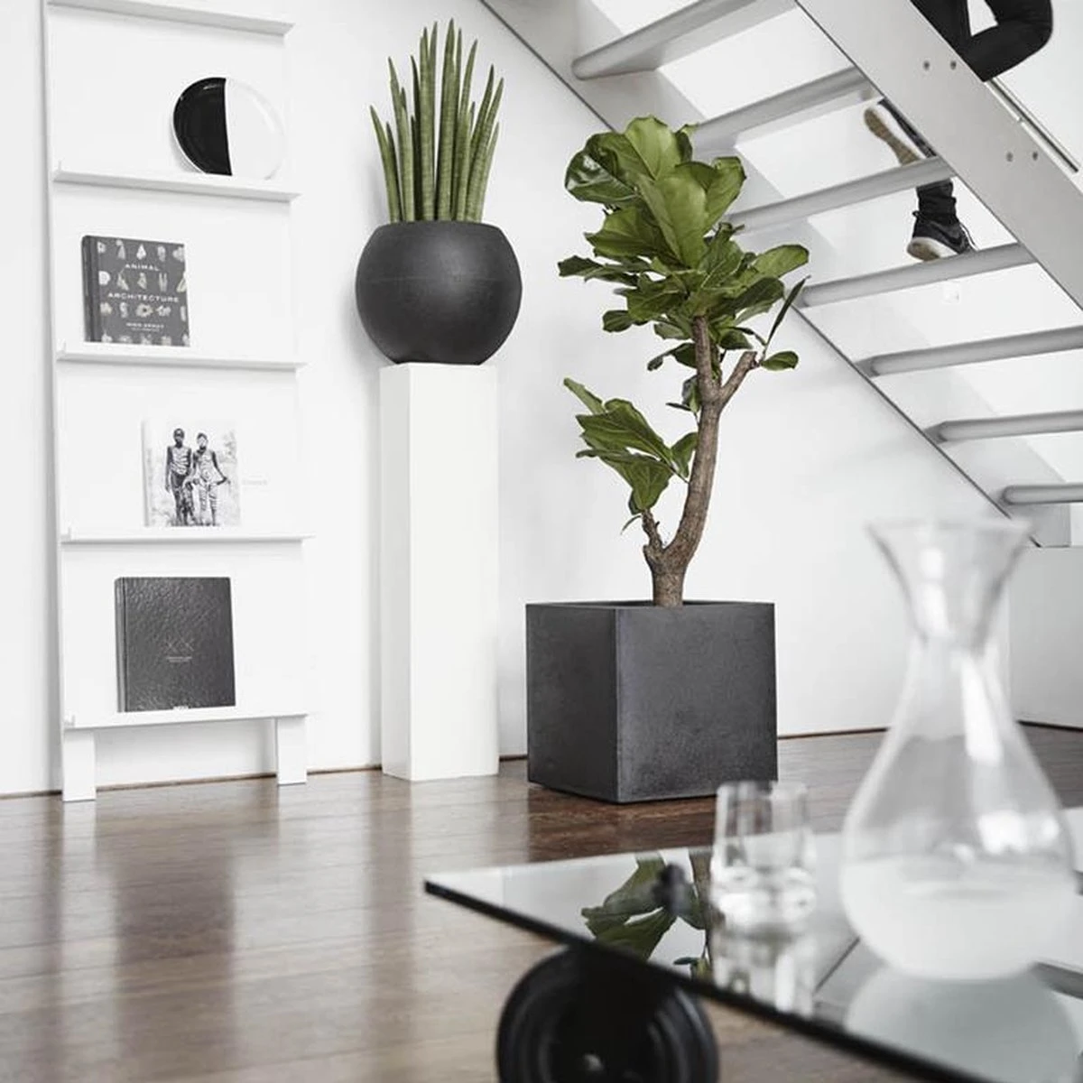 Capi Europe - Bloempot Vierkant Smooth NL - 50x50x50 - Zwart - Voor Binnen En Buiten - KBL904 - Image 2