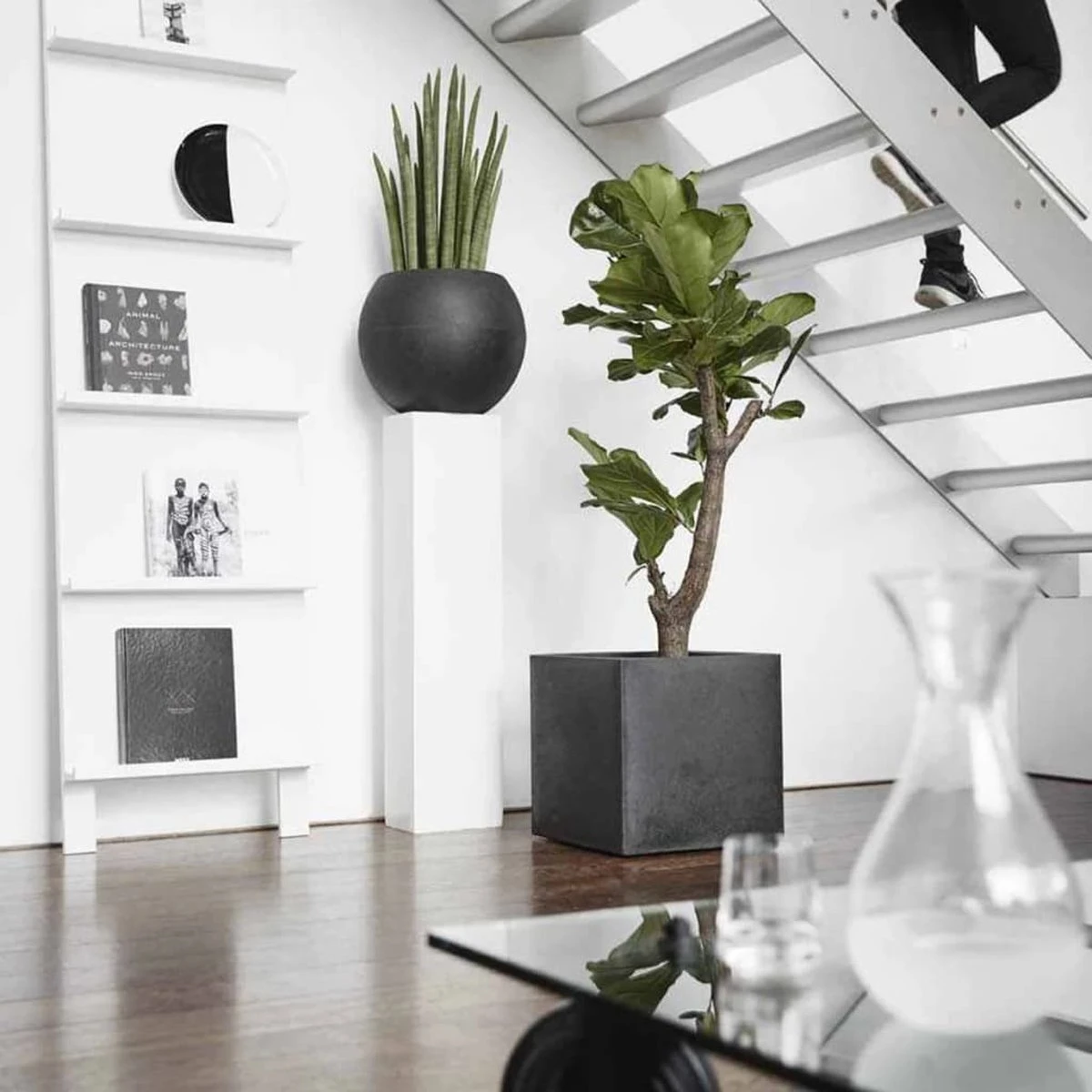 Capi Europe - Bloempot Vierkant Smooth NL - 50x50x50 - Zwart - Voor Binnen En Buiten - KBL904 - Image 20