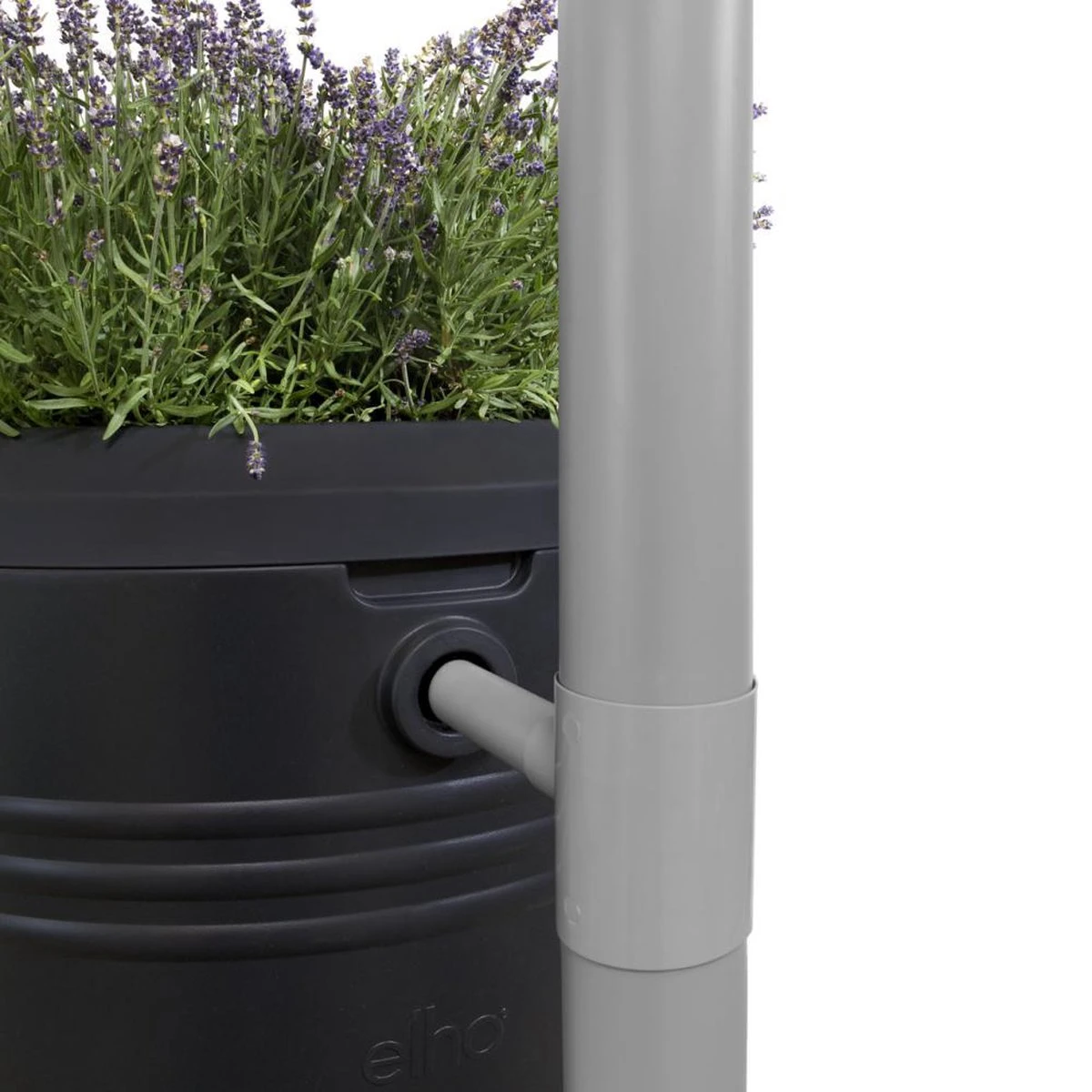 Elho Green Basics Regenton - Regenton - Living Black - Buiten - 200 Liter - Image 15