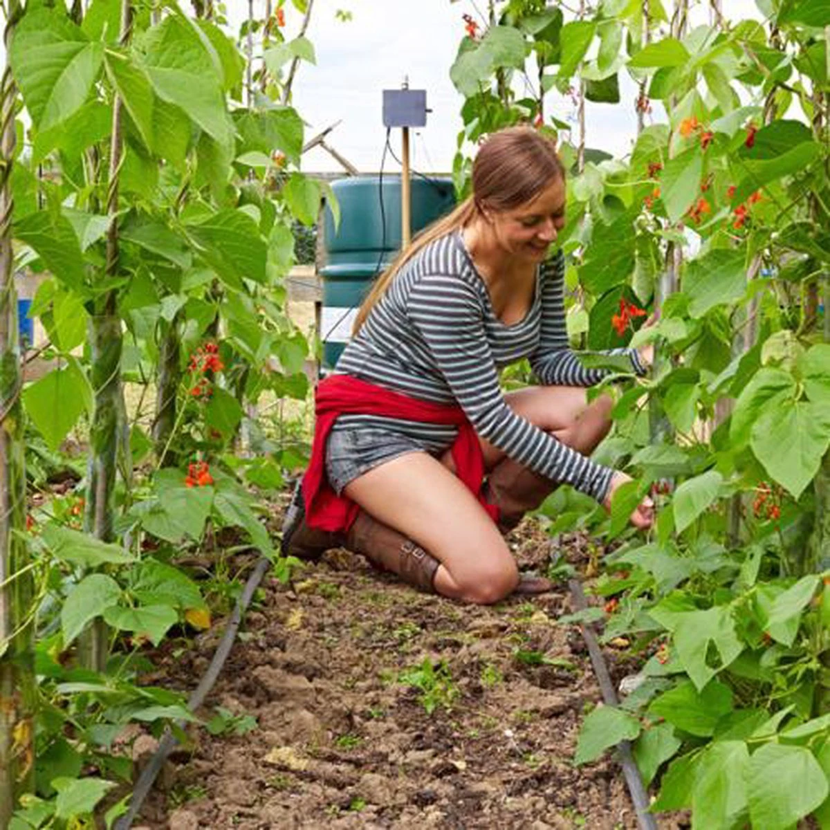 Irrigatia SOL-C24 Irrigatie Systeem Op Zonne-energie - Da's Slim Water Geven ! - Image 4