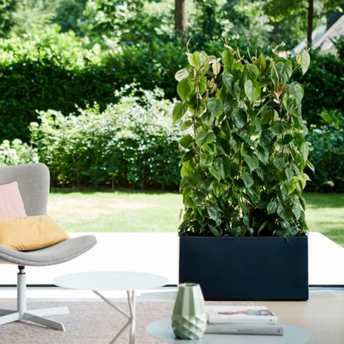 Elho Vivo Matt Finish Lang Wielen 90 - Grote Staande Plantenbak Voor Binnen & Buiten - Gemaakt Van Gereycled Plastic - L 39 X W 88 X H 41 Cm - Zwart - Image 6