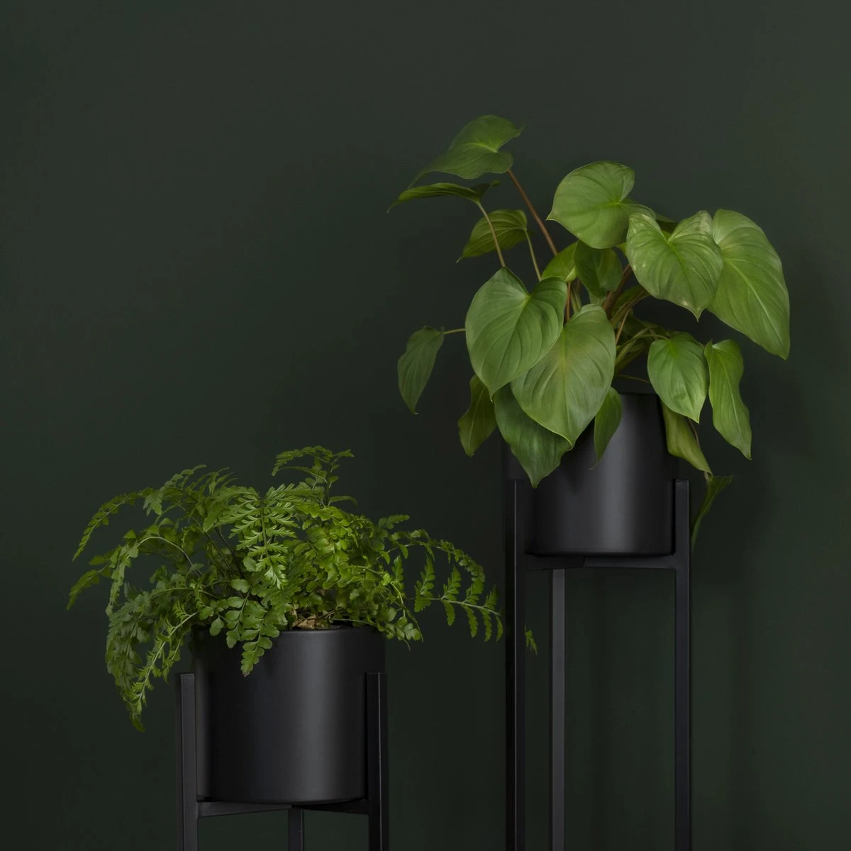 QUVIO Plantenstandaard Binnen - Inclusief Pot - Staande Plantenbak - Metaal - Bloempot - 22 X 22 X 60 Cm - Zwart - Image 5