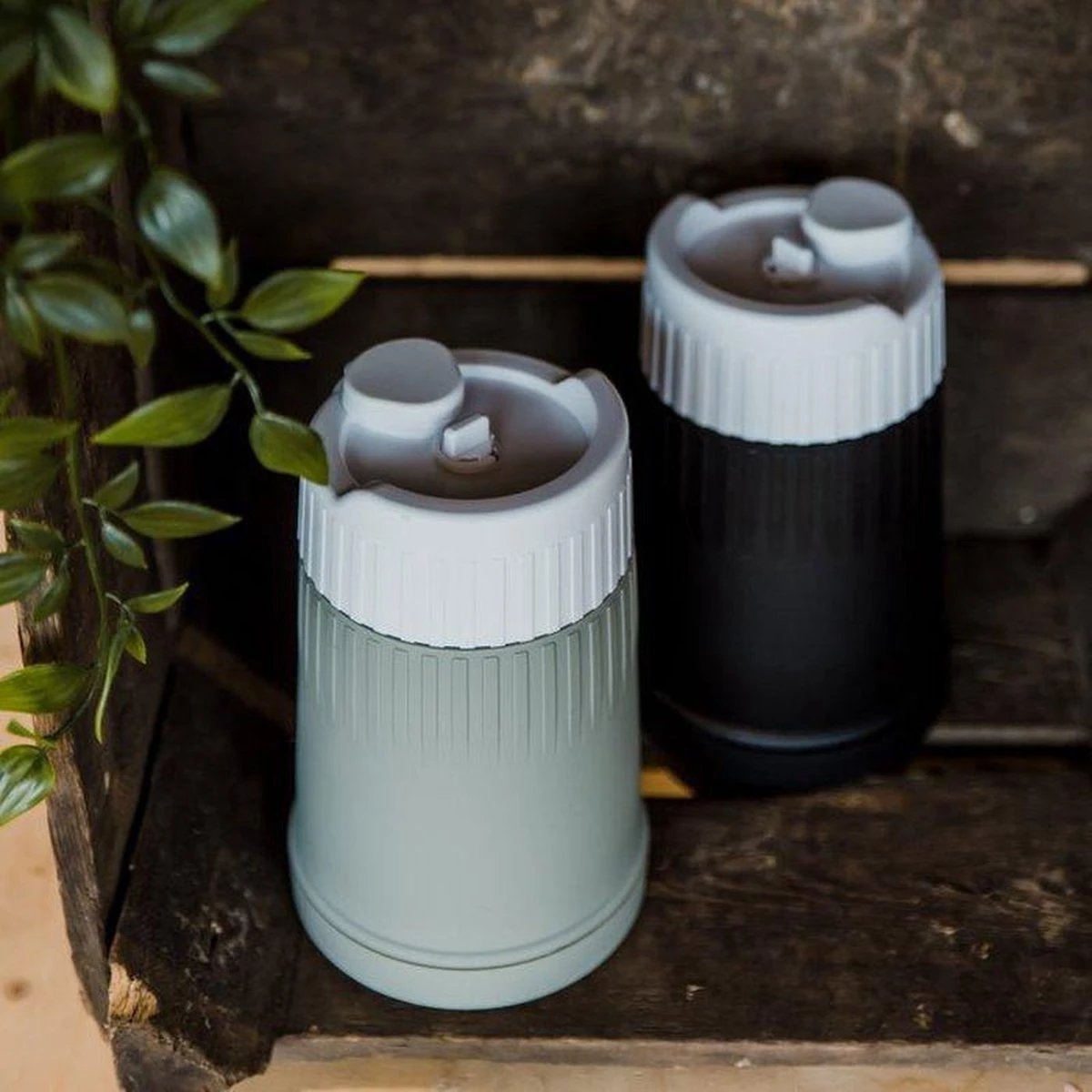 Philley Melkpoederbus - Groen - Image 10