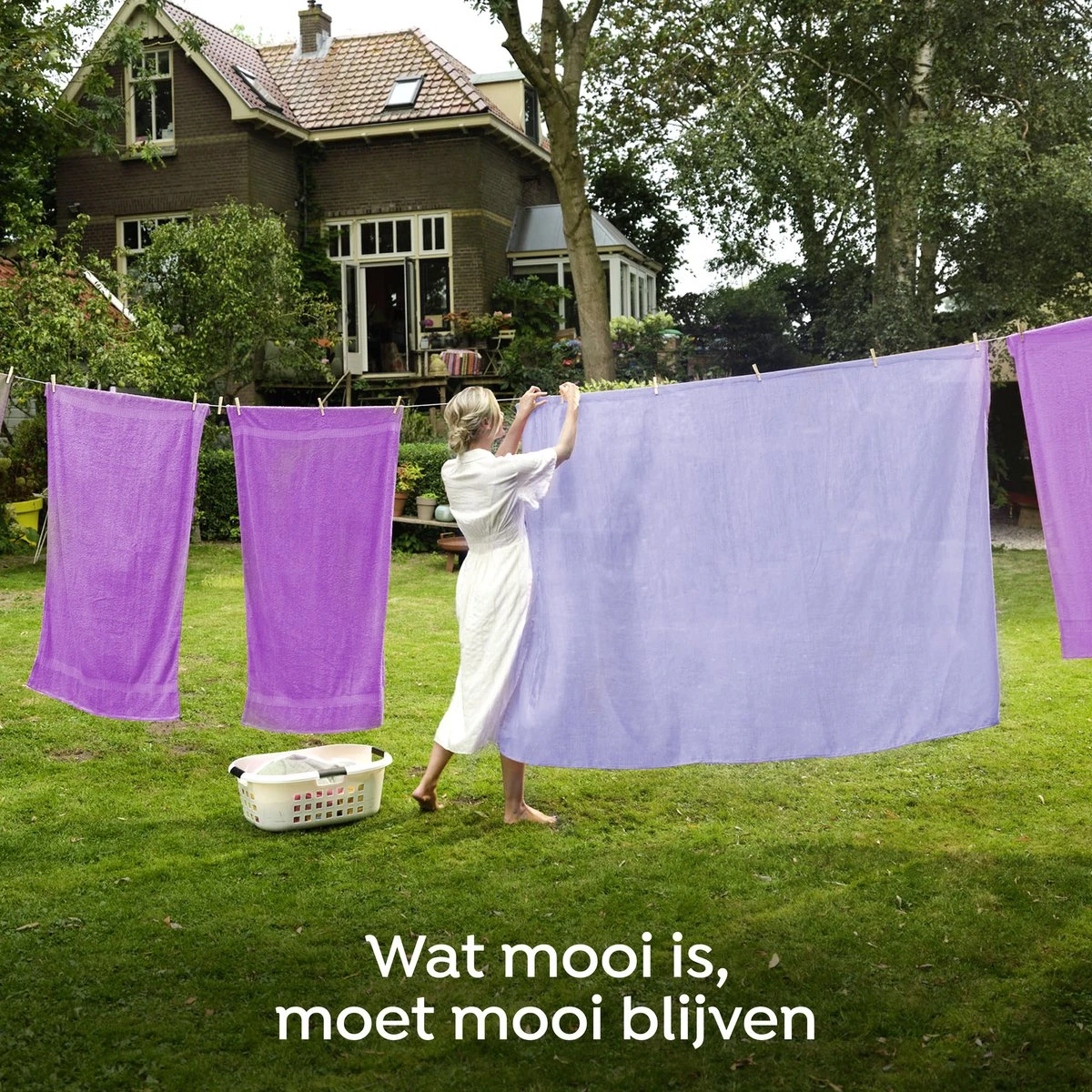 Robijn Creations Paarse Orchidee & Bosbessen Wasverzachter - 8 X 30 Wasbeurten - Voordeelverpakking - Image 7