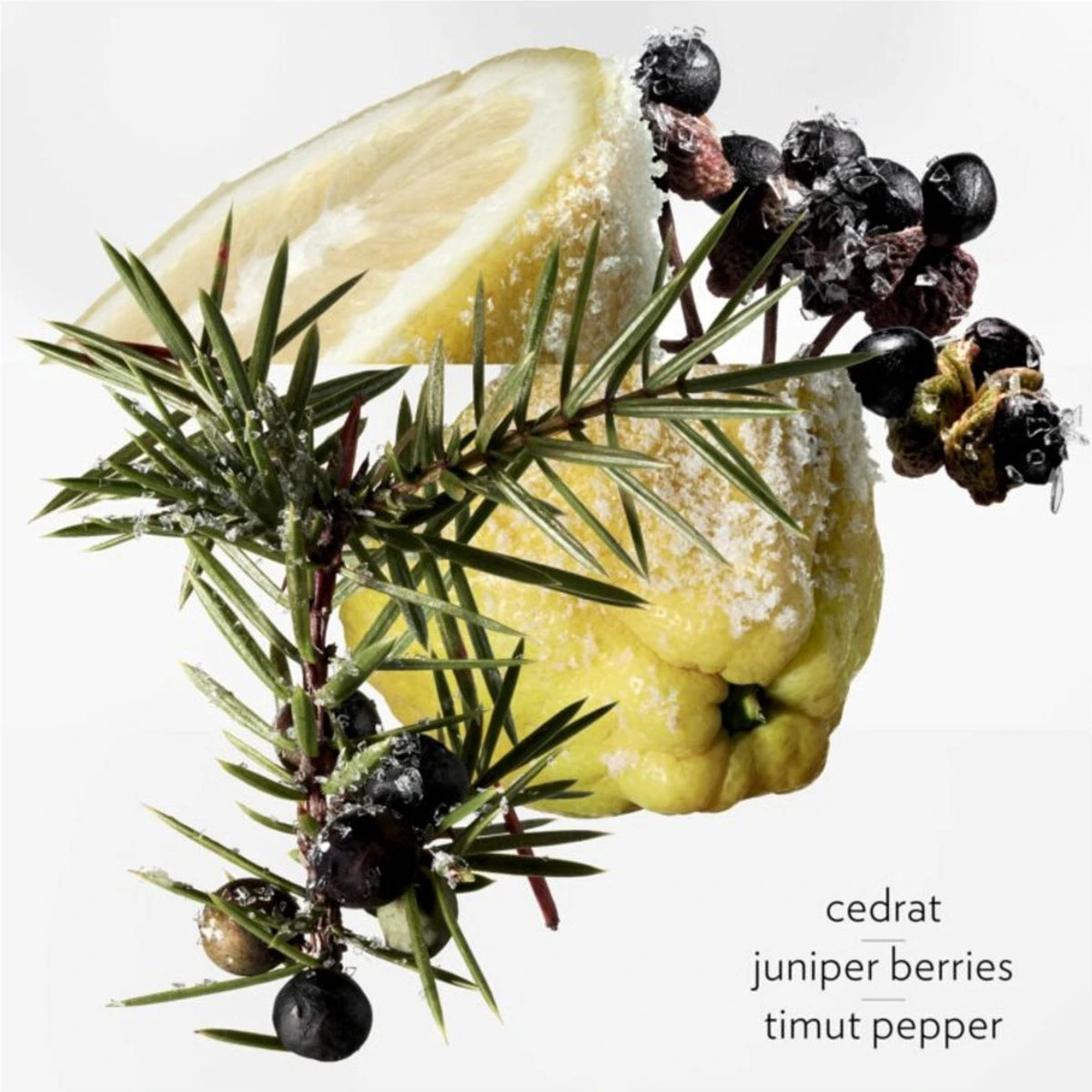 Hermes Terre D'Hermes Eau Givree Eau De Parfum 100 Ml - Image 2