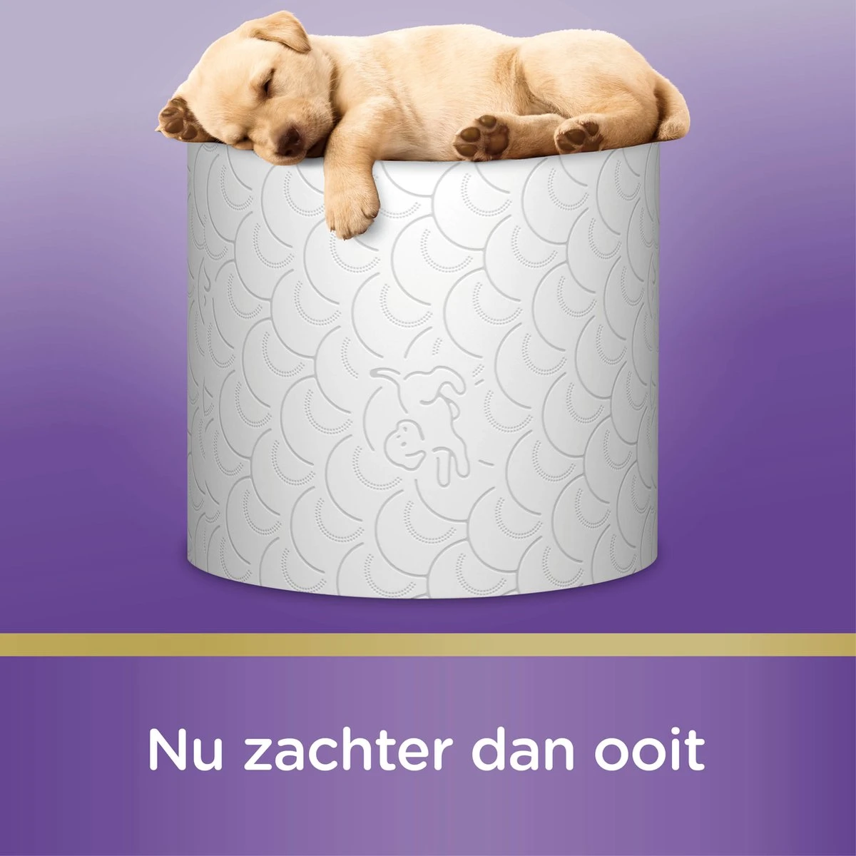 Page Toiletpapier - 42 Rollen - Kussenzacht Wc Papier (3-laags) - Voordeelverpakking - Image 11