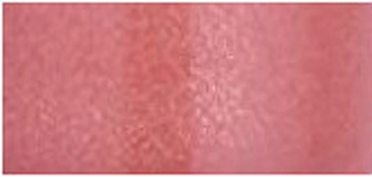 Bourjois Gloss Fabuleux Lipgloss - 4 Popular Pink - Image 10