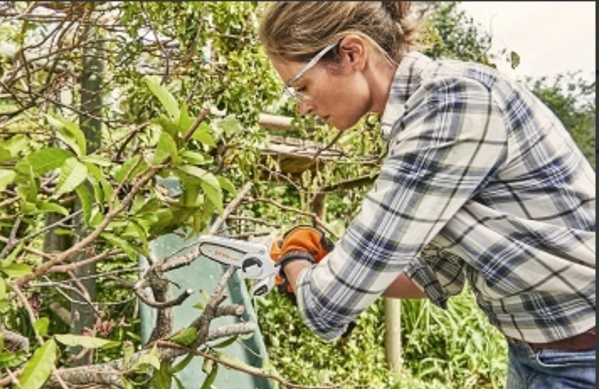 Stihl Accu Mini Kettingzaag SET - Snoeischaar - Snoeizaag - Hand Kettingzaag - Professioneel- Hovenier- Tuinman - Image 6