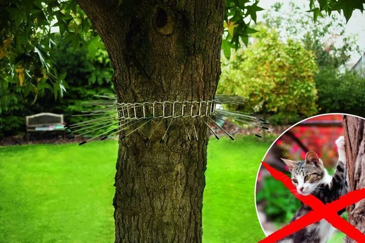 Gardigo Kattenafweergordel - Image 2