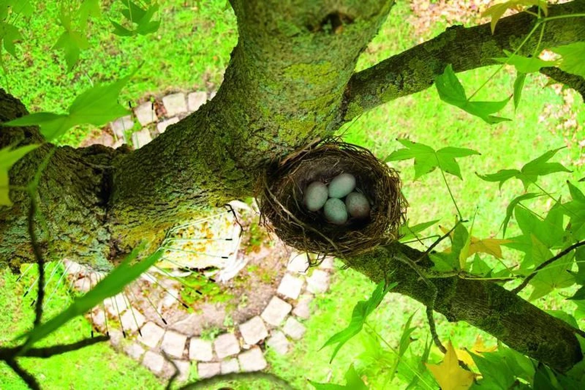 Gardigo Kattenafweergordel - Image 3