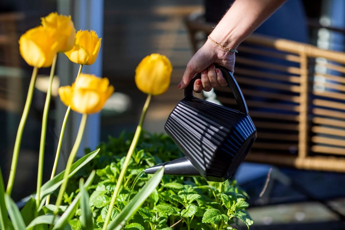 Xala - Gieter Doppio Groove 2L Olijfgrijs - Image 3