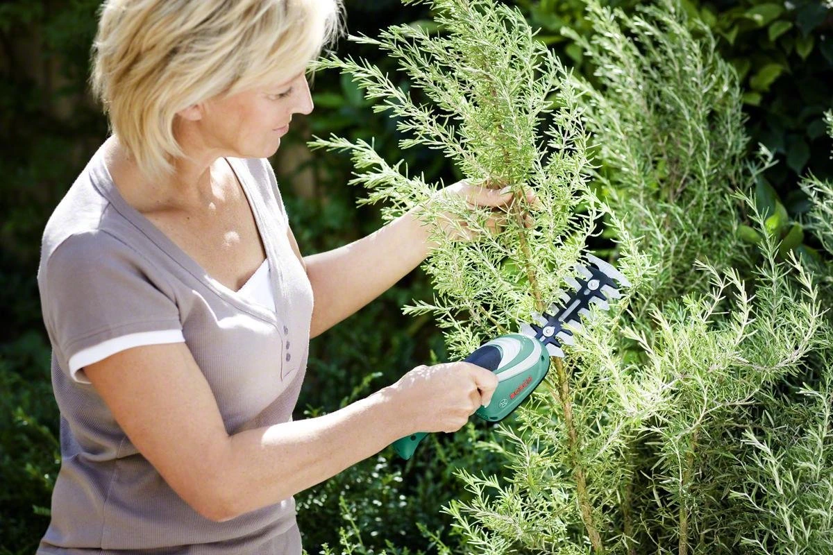 Bosch ISIO Gen III Accu Buxusschaar + Grasschaar - Image 4