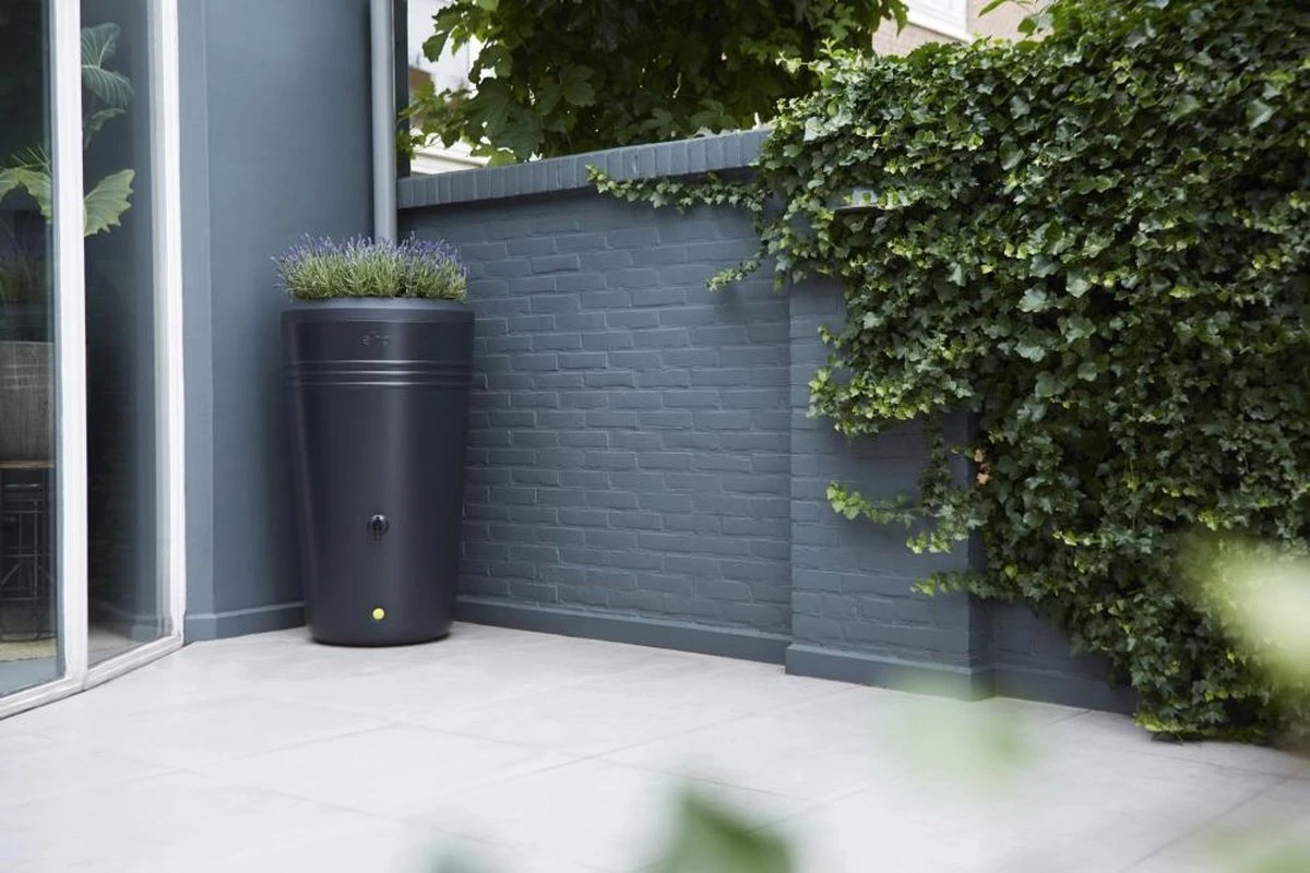 Elho Green Basics Regenton - Regenton - Living Black - Buiten - 200 Liter - Image 6