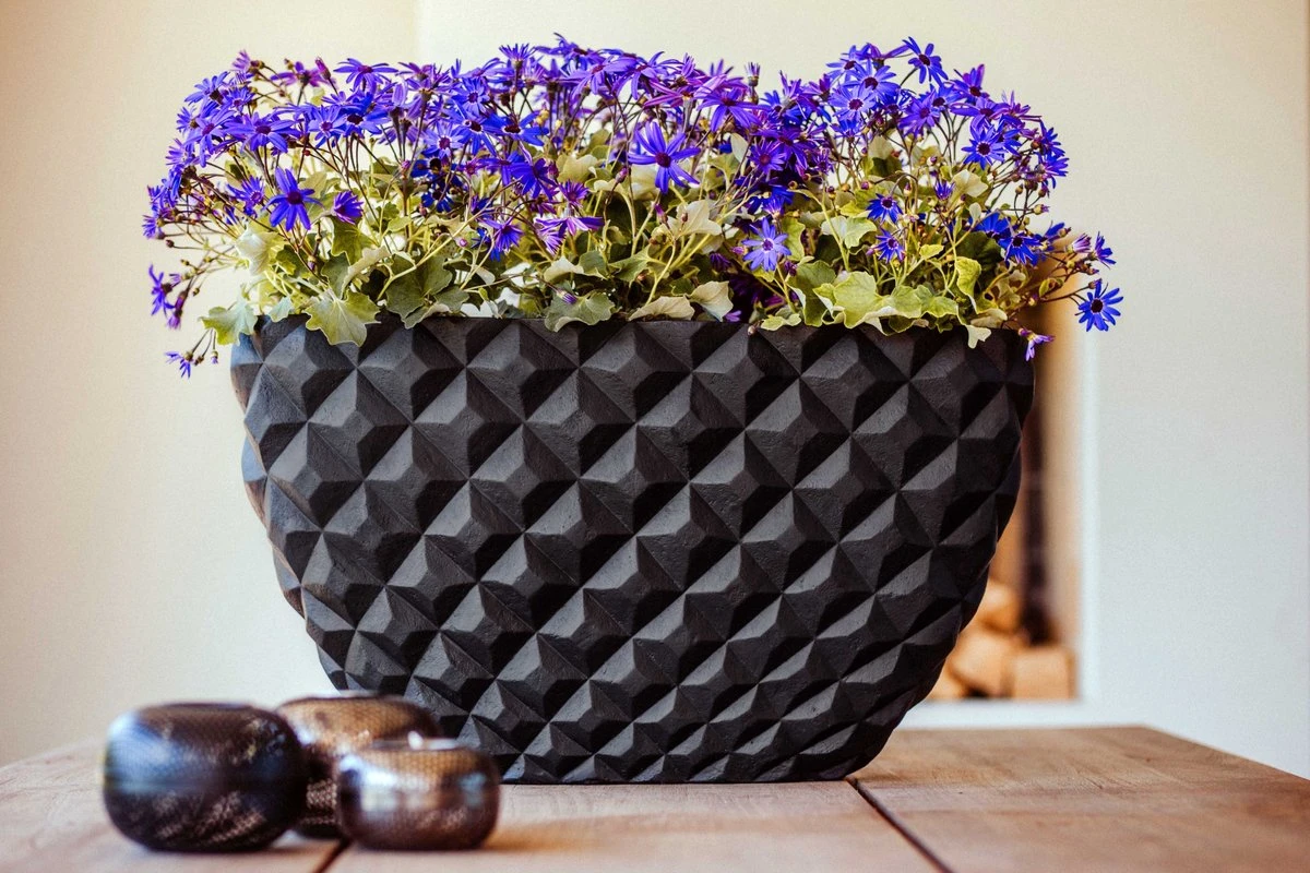 Capi Europe - Bloempot Ovaal Heraldry - 60x35 - Zwart - Bloempot Voor Binnen - BSBI841 - Image 2