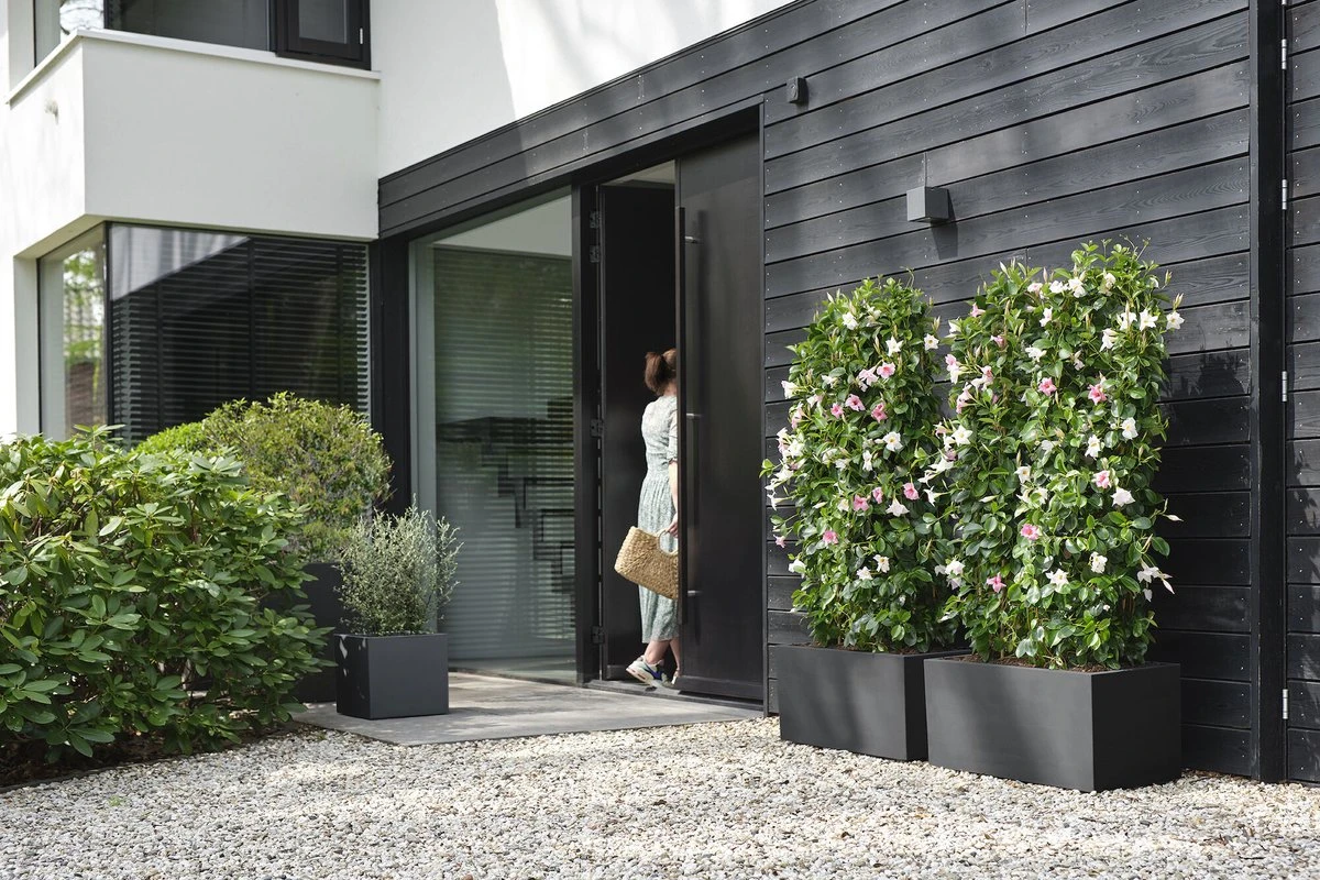 Elho Vivo Next Vierkant 40 - Plantenbak Voor Binnen & Buiten - Ø 39.0 X H 37.9 Cm - Zwart/Living Black - Image 6