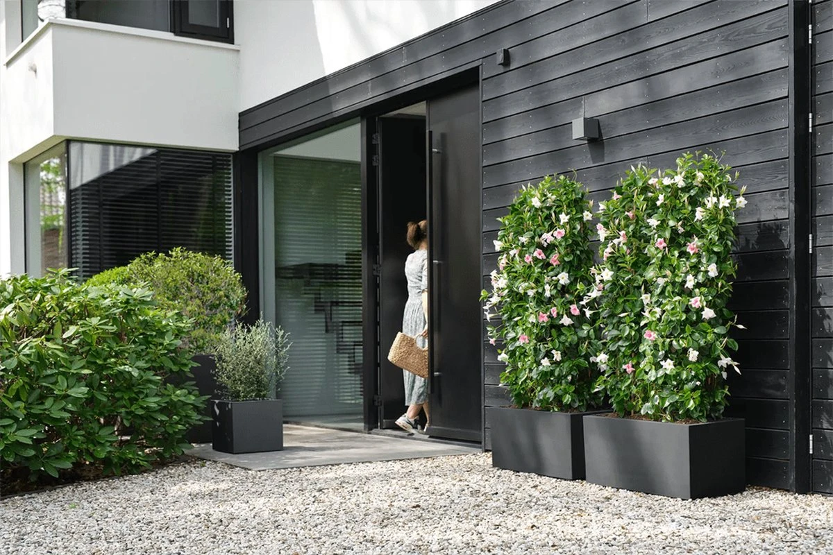 Elho Vivo Next Vierkant 40 - Plantenbak Voor Binnen & Buiten - Ø 39.0 X H 37.9 Cm - Zwart/Living Black - Image 12