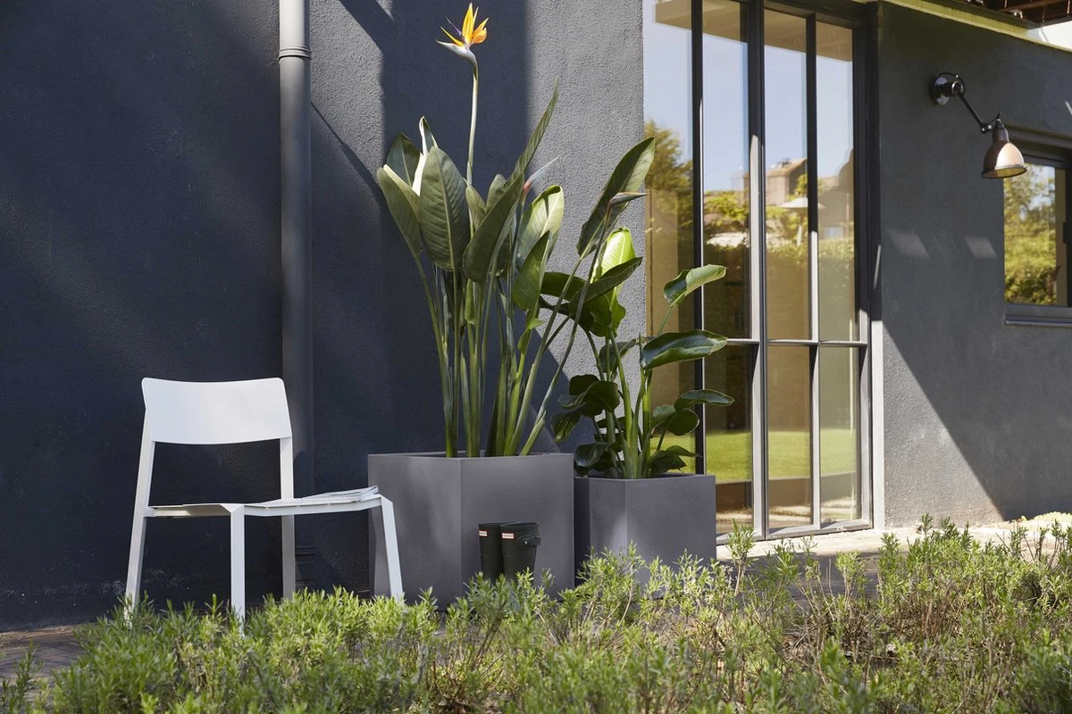 Capi Europe - Bloempot Vierkant Smooth NL - 50x50x50 - Zwart - Voor Binnen En Buiten - KBL904 - Image 8