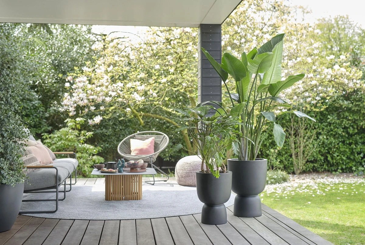 Elho Pure Coupe 41 - Bloempot Voor Binnen & Buiten - Ø 41.3 X H 57.9 Cm - Zwart/Zwart - Image 4