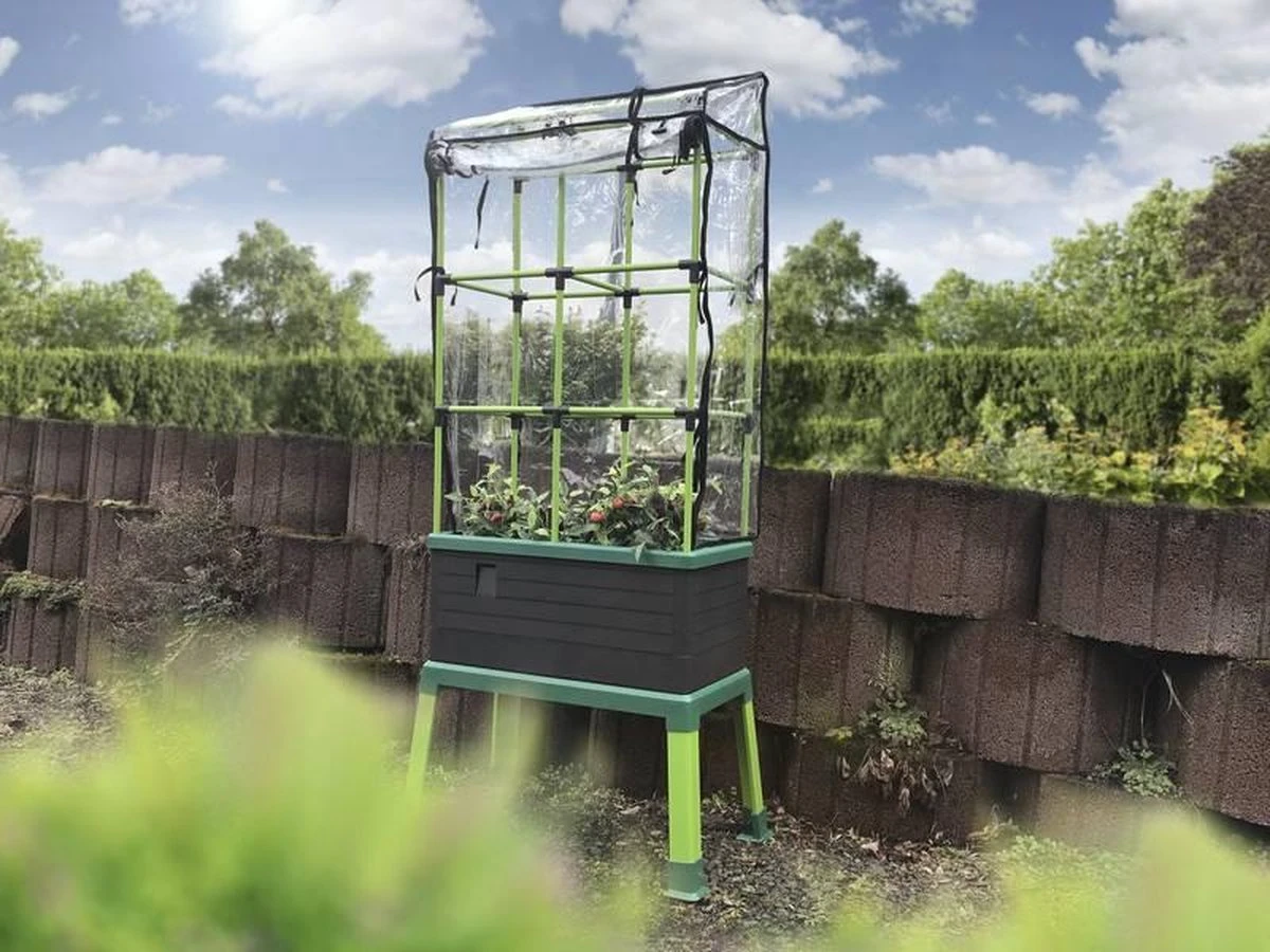 Bio Green Dekking Voor CityJungle - Image 3