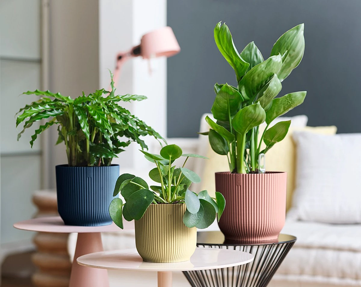 Elho Vibes Fold Rond Wielen 35 - Bloempot Voor Binnen - Ø 34.9 X H 32.4 Cm - Diepblauw - Image 4