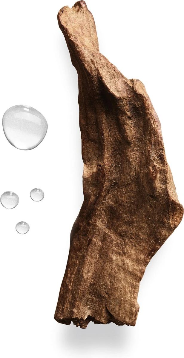 Giorgio Armani Acqua Di Gio Absolu 75ml - Eau De Parfum - Herenparfum - Image 15