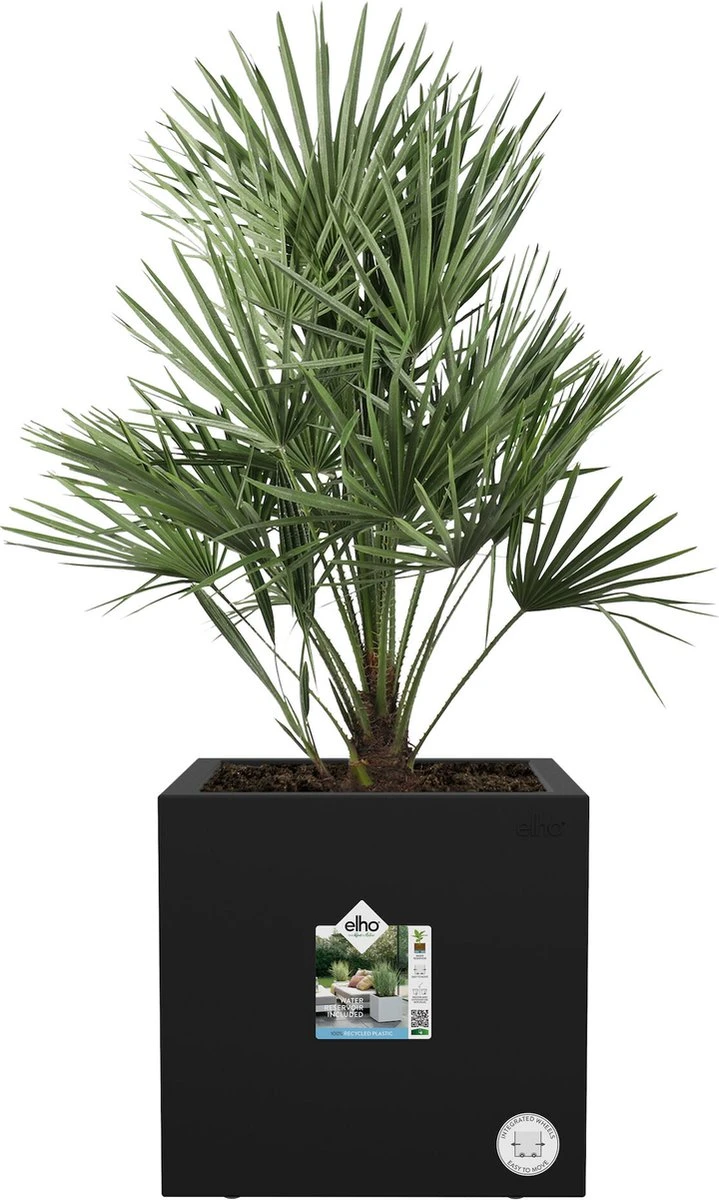 Elho Vivo Next Vierkant 40 - Plantenbak Voor Binnen & Buiten - Ø 39.0 X H 37.9 Cm - Zwart/Living Black - Image 2
