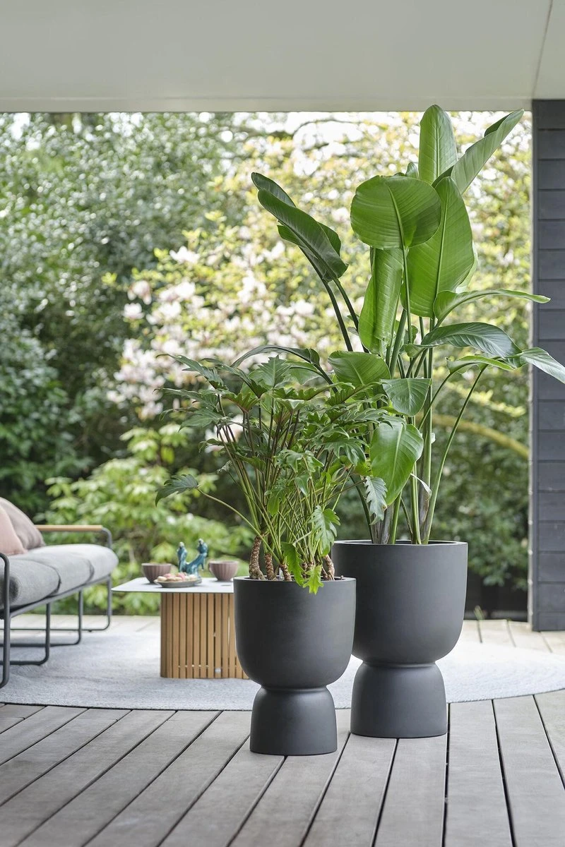 Elho Pure Coupe 41 - Bloempot Voor Binnen & Buiten - Ø 41.3 X H 57.9 Cm - Zwart/Zwart - Image 13