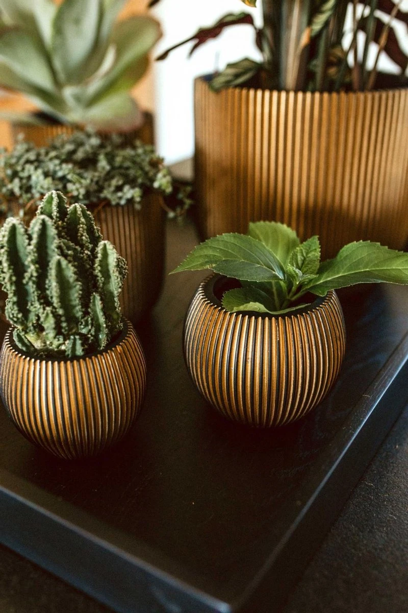 Capi Europe - Vaas Bol Groove XL - 39x33 - Goud - Bloempot Voor Binnen - Opening ⌀24 - GVGB270 - Image 3