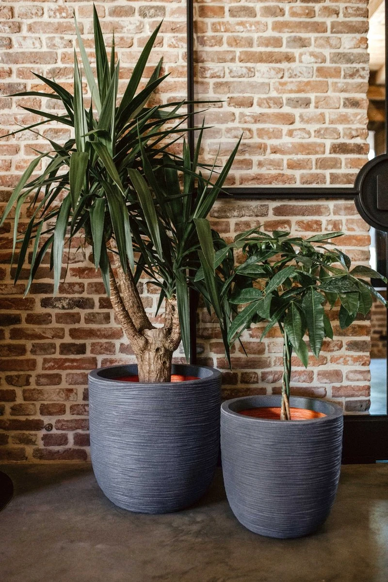 Capi Europe - Bloempot Bol Rib NL - 43x41 - Antraciet - Voor Binnen En Buiten - KOFZ933 - Image 5