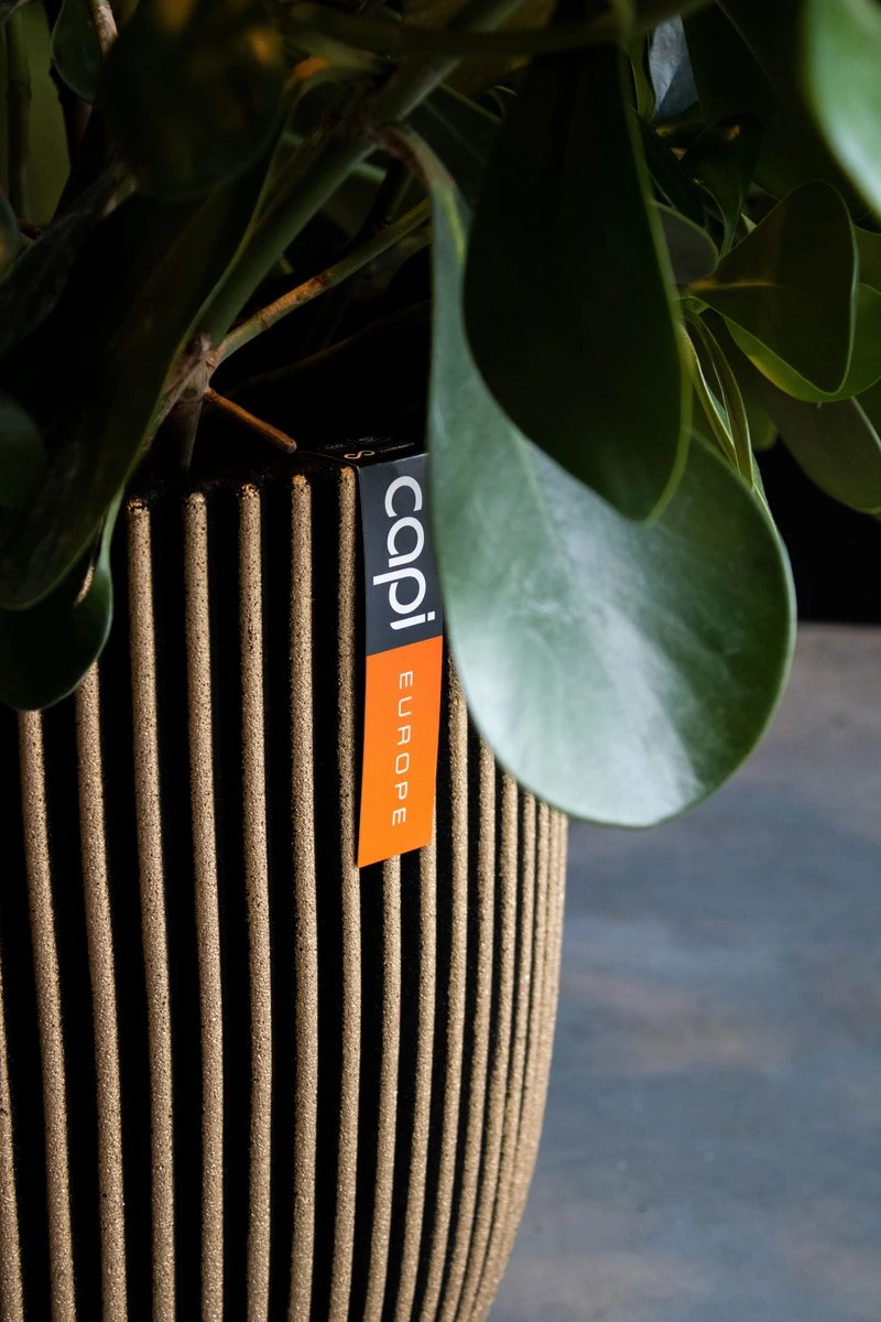 Capi Europe - Vaas Elegant Laag Groove NL - 46x58 - Goud - Voor Binnen En Buiten - KGVGB783 - Image 2