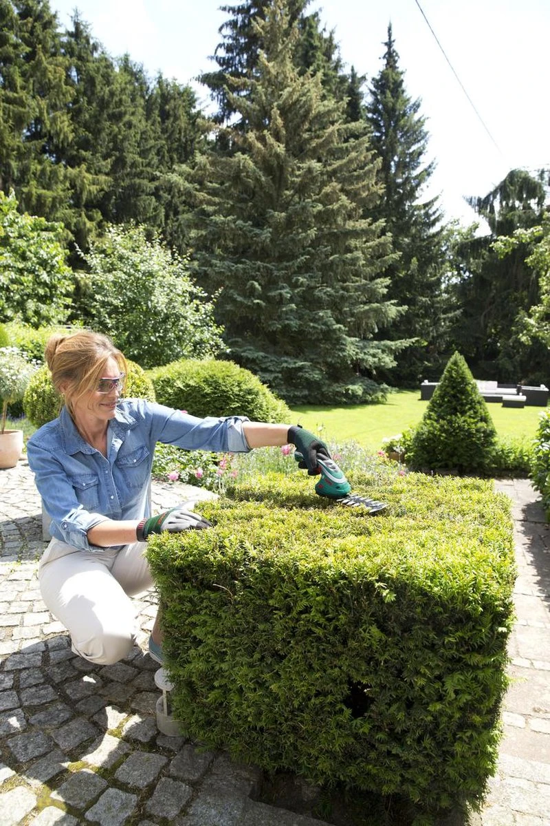 Bosch ISIO Gen III Accu Buxusschaar + Grasschaar - Image 3